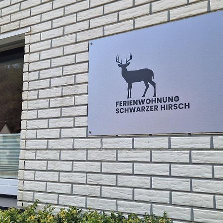 Ferienwohnung Schwarzer Hirsch Wieda Kültér fotó