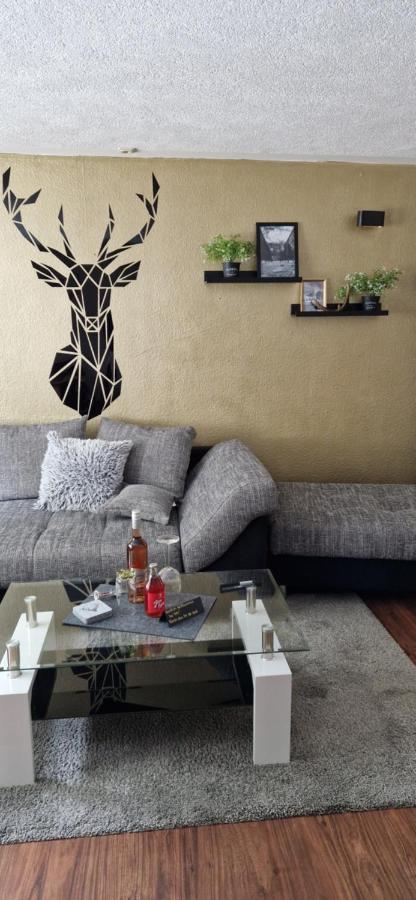 Ferienwohnung Schwarzer Hirsch Wieda Kültér fotó